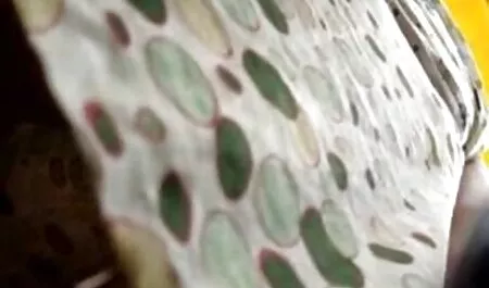 健康な黒人男性、女の子、情熱の入れ墨を訪問する 女性 の ため の 無料 動画