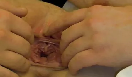 優しく押しの二つのあなたの女の子が同意する性別パーティ エッチ ネット 動画