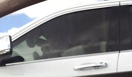 美しさは大胆に甲殻類のためにイライラし、優しくうめき声 女性 向け 動画 イケメン